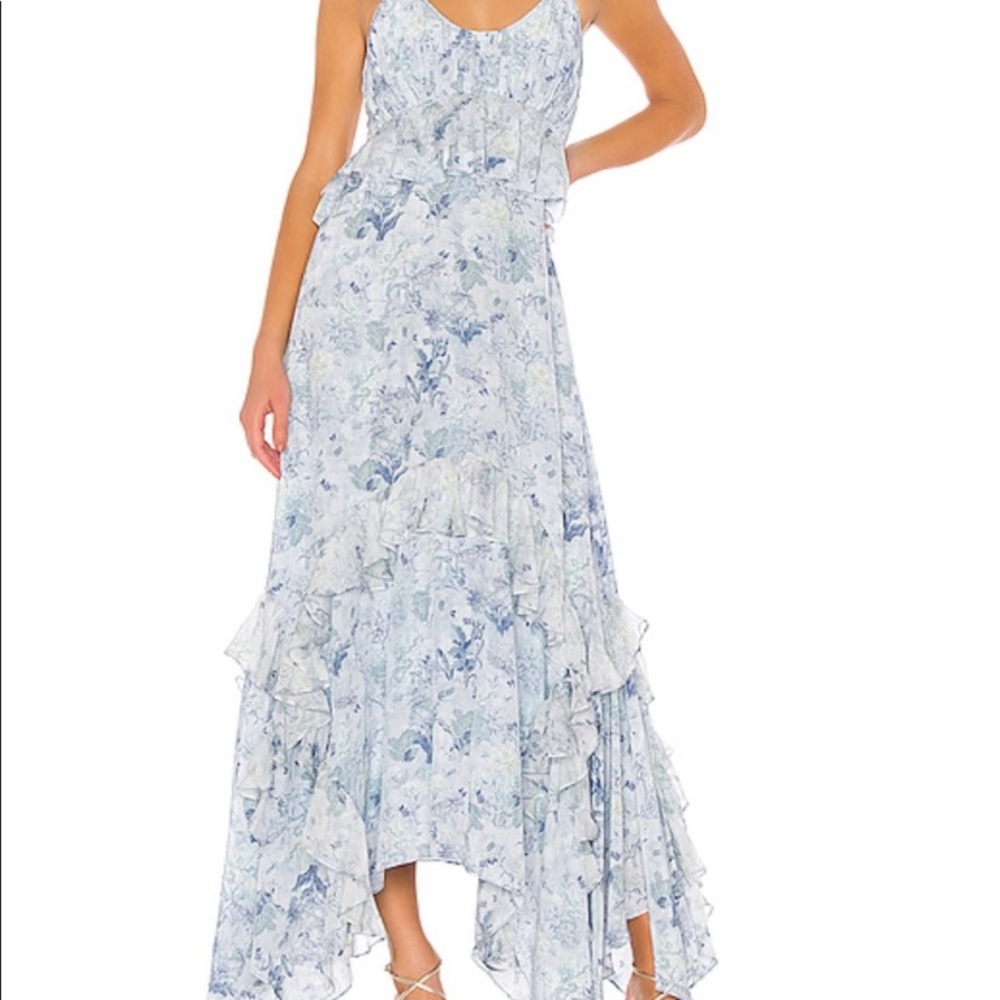 NWT Amur Toile Blue Dress